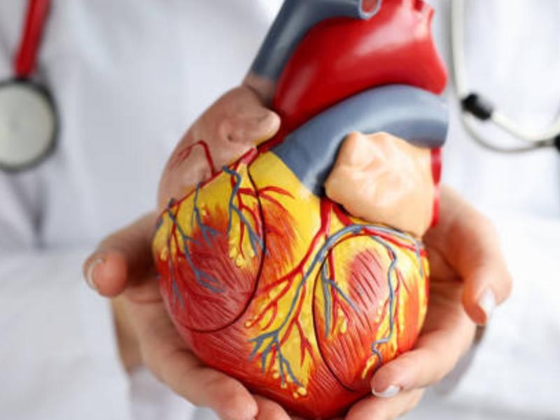 Cateterismo cardiaco com cineangiocoronariografia e ventriculografia