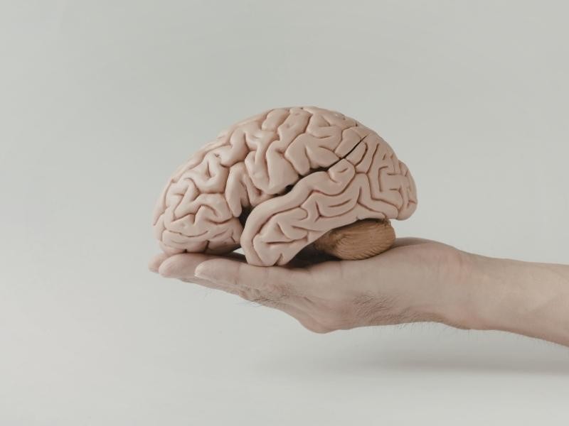 Angiografia cerebral